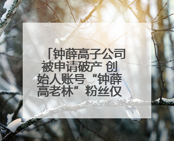 钟薛高子公司被申请破产 创始人账号“钟薛高老林”粉丝仅1800余人