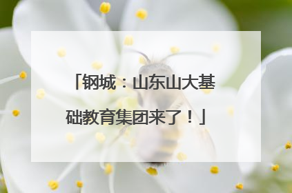 钢城：山东山大基础教育集团来了！
