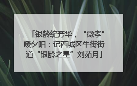 银龄绽芳华，“微孝”暖夕阳：记西城区牛街街道“银龄之星”刘茹月