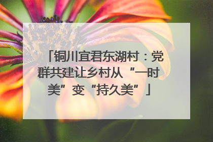 铜川宜君东湖村：党群共建让乡村从“一时美”变“持久美”