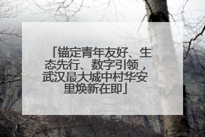 锚定青年友好、生态先行、数字引领，武汉最大城中村华安里焕新在即