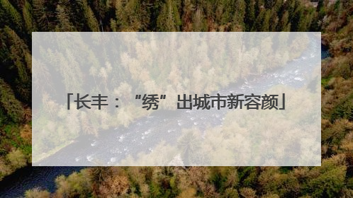 长丰：“绣”出城市新容颜