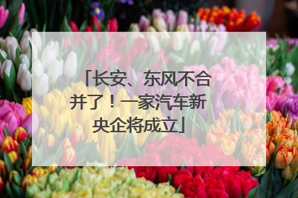 长安、东风不合并了！一家汽车新央企将成立