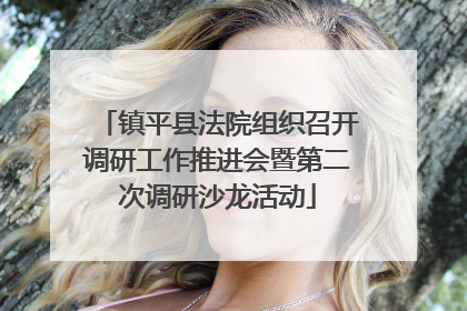 镇平县法院组织召开调研工作推进会暨第二次调研沙龙活动
