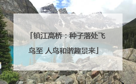 镇江高桥：种子落处飞鸟至 人鸟和谐趣景来