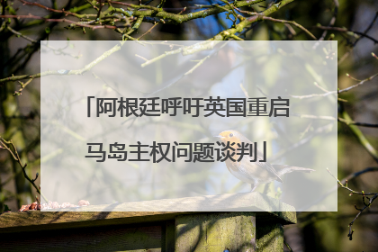 阿根廷呼吁英国重启马岛主权问题谈判