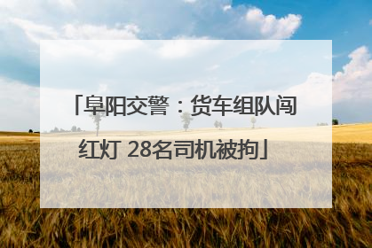 阜阳交警：货车组队闯红灯 28名司机被拘