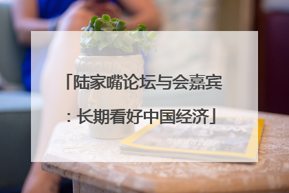 陆家嘴论坛与会嘉宾：长期看好中国经济