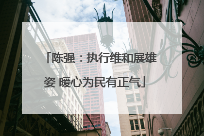 陈强：执行维和展雄姿 暖心为民有正气