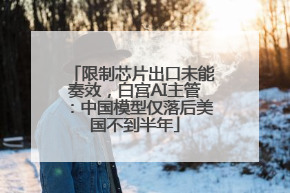 限制芯片出口未能奏效，白宫AI主管：中国模型仅落后美国不到半年
