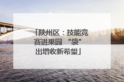 陕州区：技能竞赛进果园 “袋”出增收新希望