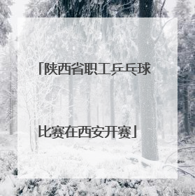 陕西省职工乒乓球比赛在西安开赛