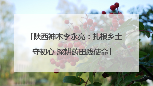 陕西神木李永亮：扎根乡土守初心 深耕药田践使命