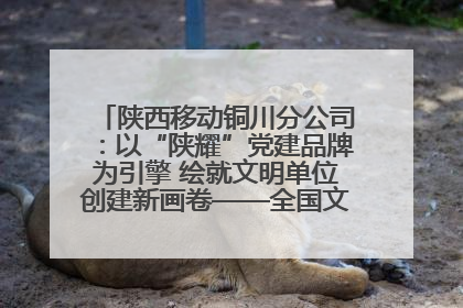 陕西移动铜川分公司：以“陕耀”党建品牌为引擎 绘就文明单位创建新画卷——全国文明单位创建纪实