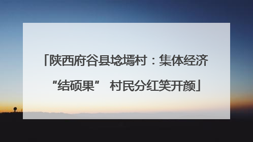 陕西府谷县埝墕村：集体经济“结硕果” 村民分红笑开颜