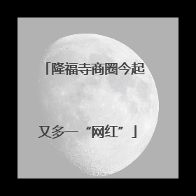 隆福寺商圈今起又多一“网红”