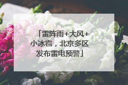 雷阵雨+大风+小冰雹，北京多区发布雷电预警