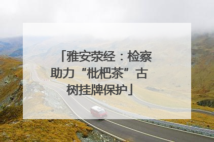 雅安荥经：检察助力“枇杷茶”古树挂牌保护