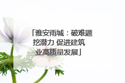 雅安雨城：破难题 挖潜力 促进建筑业高质量发展
