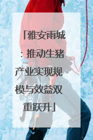 雅安雨城：推动生猪产业实现规模与效益双重跃升