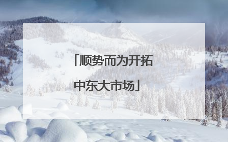 顺势而为开拓中东大市场