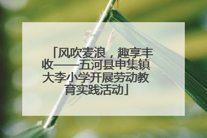风吹麦浪，趣享丰收——五河县申集镇大李小学开展劳动教育实践活动