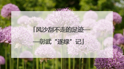 风沙刮不走的足迹——彰武“逐绿”记
