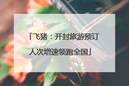 飞猪：开封旅游预订人次增速领跑全国