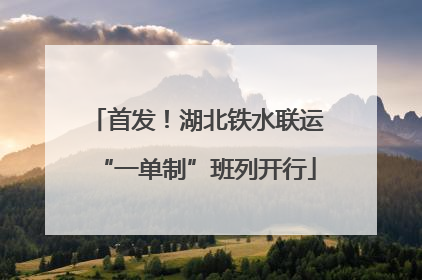 首发！湖北铁水联运“一单制”班列开行