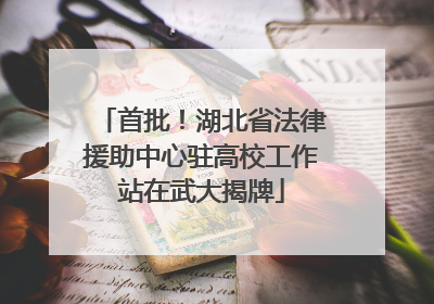首批！湖北省法律援助中心驻高校工作站在武大揭牌