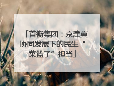 首衡集团：京津冀协同发展下的民生“菜篮子”担当