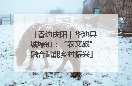 香约庆阳｜华池县城壕镇：“农文旅”融合赋能乡村振兴