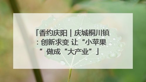 香约庆阳｜庆城桐川镇：创新求变 让“小苹果”做成“大产业”