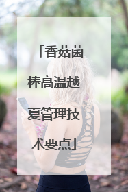香菇菌棒高温越夏管理技术要点