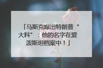 马斯克曝出特朗普“大料”：他的名字在爱泼斯坦档案中！