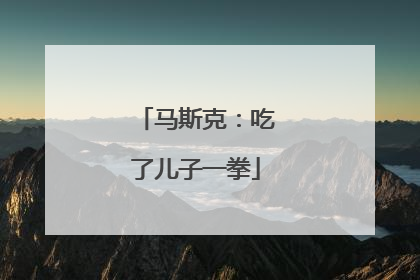 马斯克：吃了儿子一拳