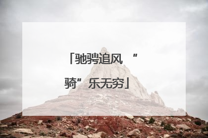 驰骋追风 “骑”乐无穷