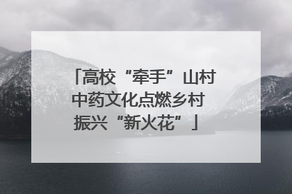 高校“牵手”山村 中药文化点燃乡村振兴“新火花”