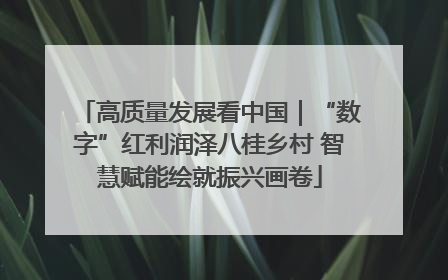 高质量发展看中国｜“数字”红利润泽八桂乡村 智慧赋能绘就振兴画卷