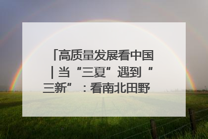 高质量发展看中国｜当“三夏”遇到“三新”：看南北田野里的科技共生记