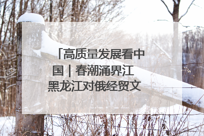 高质量发展看中国｜春潮涌界江 黑龙江对俄经贸文旅交流绿意盎然