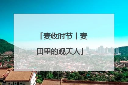 麦收时节丨麦田里的观天人
