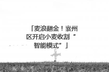 麦浪翻金！襄州区开启小麦收割“智能模式”