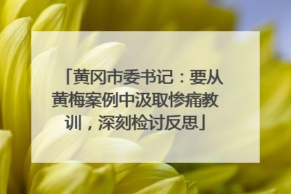 黄冈市委书记：要从黄梅案例中汲取惨痛教训，深刻检讨反思