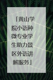 黄山学院小语种微专业学生助力景区外语讲解服务