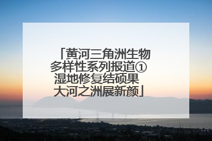 黄河三角洲生物多样性系列报道①湿地修复结硕果 大河之洲展新颜