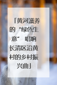 黄河滋养的“绿色生意” 唱响长清区沿黄村的乡村振兴曲