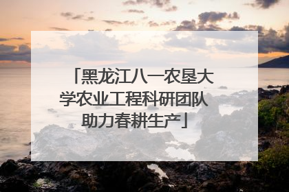 黑龙江八一农垦大学农业工程科研团队助力春耕生产
