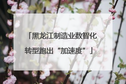 黑龙江制造业数智化转型跑出“加速度”