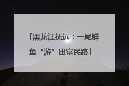 黑龙江抚远：一尾鲜鱼“游”出富民路